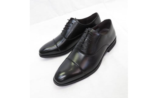 y̌CzyʁSnQȖ{irWlXV[Y Xg[g`bv[AF-11] (TCYF24.5cm)s䓌84000ߗށEiEH|iCE