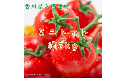 ミニトマト 約3kg【10月下旬より6月下旬まで限定発送!!】【B-23】香川県多度津町23000野菜・きのこトマト