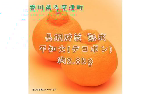長期貯蔵 熟成 不知火(でこぽん)約2.8kg【予約受付中!令和8年5月中旬より発送】【B-29】香川県多度津町23000果物・フルーツみかん・柑橘類
