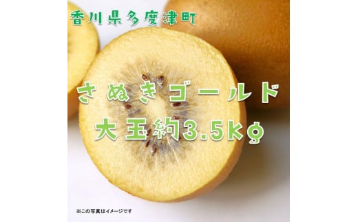 香川県オリジナルキウイフルーツ『さぬきゴールド』大玉約3.5kg【予約受付中!令和7年10月中旬頃から発送】【C-16】香川県多度津町36000果物・フルーツその他 果物・フルーツ