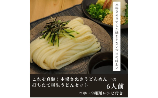 純生!これぞ真髄!本場さぬきうどんめん一の打ちたてうどんセット(6人前)【L-11】香川県多度津町5000麺うどん