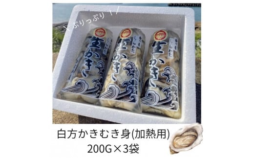 香川県 多度津町産 白方かき むき身(加熱用)200g×3袋【令和8年1月頃から4月頃までの期間限定出荷】【L-30】香川県多度津町14000魚介・海産物貝類