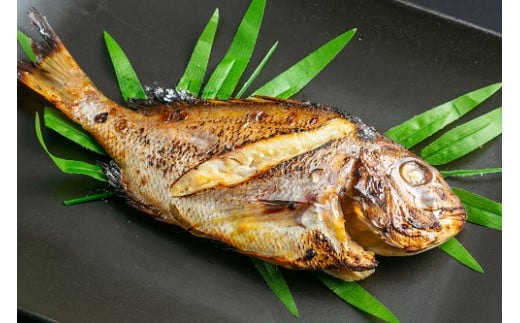 塩飽鯛 Bセット【A-74】香川県多度津町21000魚介・海産物鮮魚