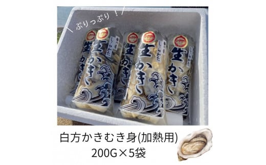 香川県 多度津町産 白方かき むき身(加熱用)200g×5袋【令和8年1月頃から4月頃までの期間限定出荷】【A-88】香川県多度津町20000魚介・海産物貝類