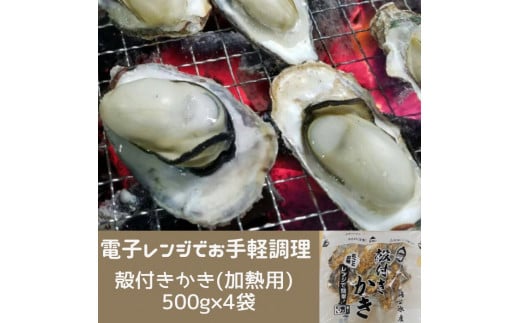 多度津町産 白方かき 電子レンジでお手軽調理 殻付きかき(加熱用) 500g×4袋【令和8年1月頃から4月頃までの期間限定出荷】【A-90】香川県多度津町21000魚介・海産物貝類