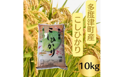 【令和7年産新米】多度津町産こしひかり 10kg 【A-93】香川県多度津町31000米・パン白米