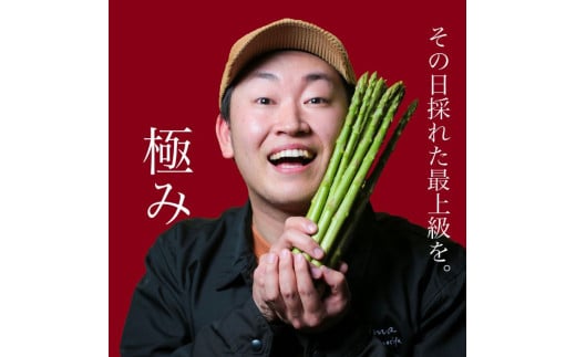 アスパラ王子が育てた自慢のアスパラ「極み」1kg (さぬきのめざめ おおもりや)【予約受付:御用意出来次第発送】【H-56】香川県多度津町30000野菜・きのこその他 野菜