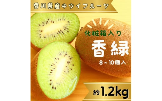 香緑(キウイフルーツ)1.2kg( 8〜10個) 化粧箱入り【予約受付中!令和7年11月中旬頃より発送!】【A-111】香川県多度津町18000果物・フルーツその他 果物・フルーツ