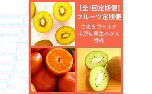 【全3回フルーツ定期便】さぬき讃フルーツさぬきゴールドと小原紅早生みかんと香緑【D-13】香川県多度津町57000果物・フルーツみかん・柑橘類