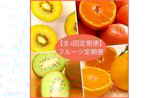 【全4回フルーツ定期便】さぬきゴールドと小原紅早生みかんと香緑と不知火【E-9】香川県多度津町75000果物・フルーツみかん・柑橘類
