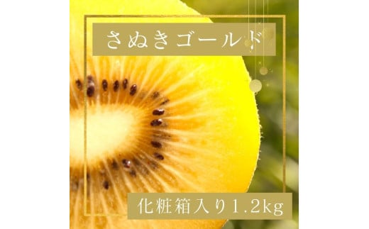 さぬきゴールド キウイフルーツ 1.2kg化粧箱入り【予約受付中!令和7年10月中旬頃より発送!】【A-113】香川県多度津町18000果物・フルーツその他 果物・フルーツ