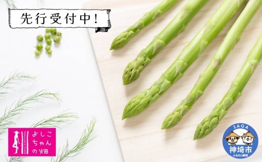 【先行受付 令和8年7月より発送】夏芽のアスパラ 1.2kg 【アスパラ アスパラガス グリーンアスパラガス モデル バーベキュー BBQ こだわり 採れたて 野菜 】(H013105)佐賀県神埼市17000野菜・きの
