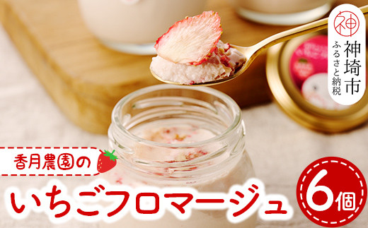 いちごフロマージュ6個セット 【佐賀県産 クリームチーズ 生クリーム ドライいちご 贅沢】(H017105)佐賀県神埼市13000果物・フルーツいちご