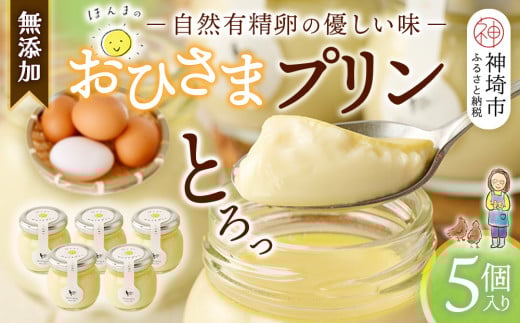 おひさまプリン5個セット 【スイーツ 平飼い 無添加 有精卵 ミルン牧場 牛乳 プリン県 プリンマップ】(H073108)佐賀県神埼市11000菓子・スイーツプリン・ゼリー