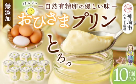 おひさまプリン10個セット 【スイーツ 平飼い 無添加 有精卵 ミルン牧場 牛乳 プリン県 プリンマップ】(H073109)佐賀県神埼市17000菓子・スイーツプリン・ゼリー
