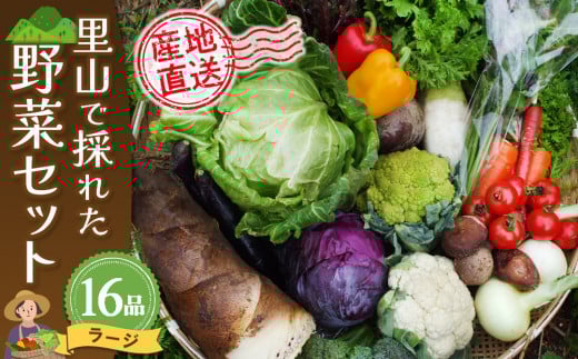 里山で採れた野菜セットラージ 16品 【有機野菜 おまかせ野菜セット イタリア野菜 西洋野菜】(H078109)佐賀県神埼市17000野菜・きのこその他 野菜
