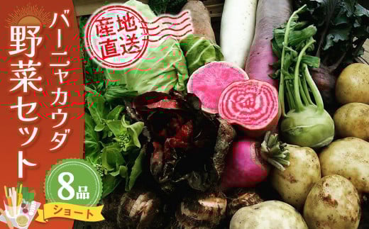 バーニャカウダ野菜セットショート 8品 【有機野菜 おまかせ野菜セット イタリア野菜 西洋野菜】(H078113)佐賀県神埼市10000野菜・きのこその他 野菜
