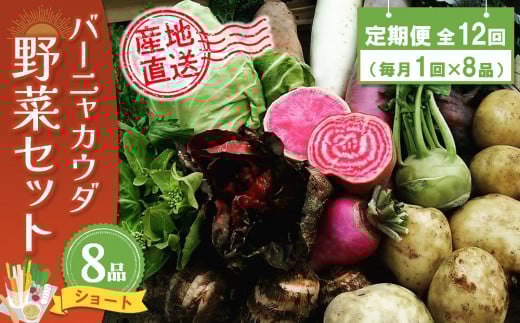 年間定期便12回 バーニャカウダ野菜セットショート 8品 【有機野菜 おまかせ野菜セット イタリア野菜 西洋野菜 定期便】(H078141)佐賀県神埼市120000野菜・きのこその他 野菜