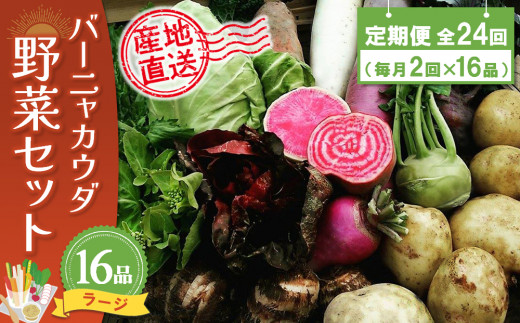 年間定期便24回 バーニャカウダ野菜セットラージ 16品 【有機野菜 おまかせ野菜セット イタリア野菜 西洋野菜 定期便】(H078123)佐賀県神埼市500000野菜・きのこその他 野菜