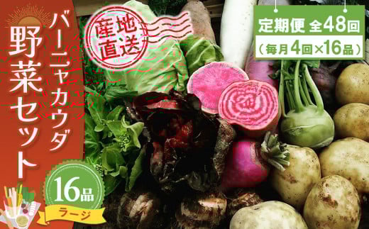 年間定期便48回 バーニャカウダ野菜セットラージ 16品 【有機野菜 おまかせ野菜セット イタリア野菜 西洋野菜 定期便】(H078124)佐賀県神埼市900000野菜・きのこその他 野菜