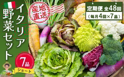 年間定期便48回 イタリア野菜セットショート 7品 【有機野菜 おまかせ野菜セット イタリア野菜 西洋野菜 定期便】(H078128)佐賀県神埼市500000野菜・きのこその他 野菜