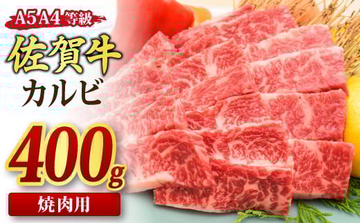 ꋍ Jr ēp 400g A5 A4 y Ya    ēz(H085175)ꌧ_s12000