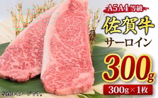 ꋍ T[CXe[L 300gx1 A5 A4 y Ya    Xe[Lz(H085181)ꌧ_s16000