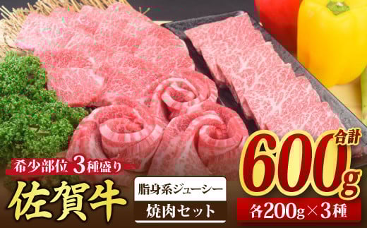 佐賀牛 希少部位 焼肉3点盛り合わせ【脂身系ジューシー】 600g (200gx3種) A5 A4【希少 国産和牛 牛肉 肉 牛 焼肉】(H085142)佐賀県神埼市30000肉牛肉