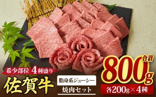 ꋍ 󏭕 ē4_荇킹ygnW[V[z 800g i200gx4j A5 A4y Ya    ēz(H085144)ꌧ_s40000