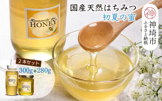 【数量限定】2025年産 国産天然蜂蜜(初夏の蜜)300g & 280g【合計580g】【蜂蜜 パンケーキ ヨーグルト 甘み フルーティ とろとろ】(H049128)佐賀県神埼市13000鍋セット・総菜・加工食品ジャム・は