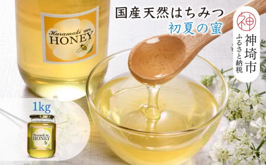 【数量限定】2025年産 国産天然蜂蜜(初夏の蜜)1kg【蜂蜜 パンケーキ ヨーグルト 甘み フルーティ とろとろ】(H049118)佐賀県神埼市16000鍋セット・総菜・加工食品ジャム・はちみつ