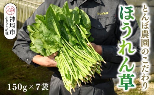 ق 1kgi150g x 7܁jynEX͔| Yn N[ ꌧҐUR[Yz(H091113)ꌧ_s9000؁Ê̑ 