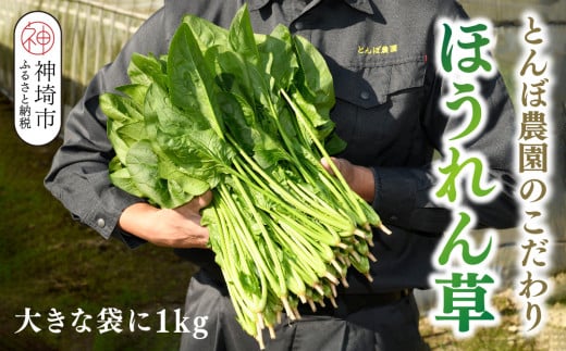 ほうれん草 1kg バラ詰め(大きな袋に1kg)【ハウス栽培 産地直送 クール便 佐賀県脊振山麓産】(H091116)佐賀県神埼市8000野菜・きのこその他 野菜