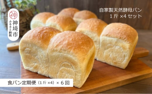 【定期便6回】自家製天然酵母の食パン 4斤【パンと器のコネル】 【パンと器のコネル 国産小麦 パン 自家製 天然酵母 玄米麹 朝食 おやつ】(H094127)佐賀県神埼市63000米・パンパン