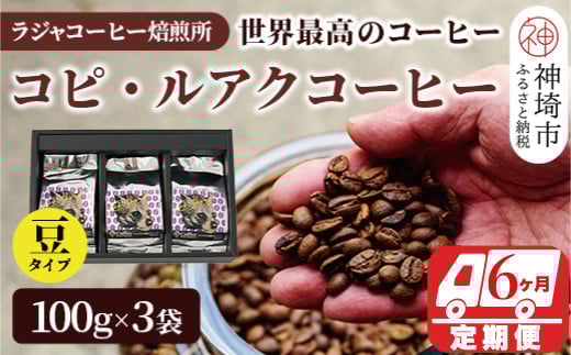 ジャコウネコ珈琲 コピ・ルアク 100g×3袋 合計300g【6回定期便】【最高級豆 幻のコーヒー】(H070108)佐賀県神埼市570000お茶・飲料コーヒー・紅茶
