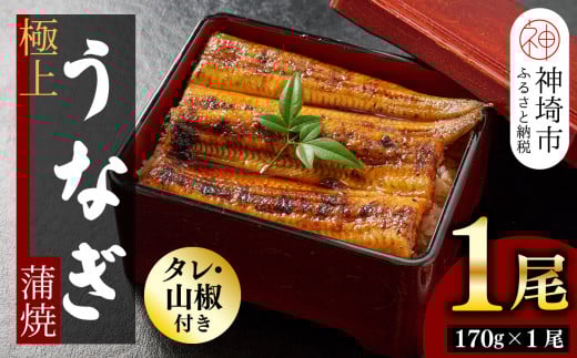 【職人手焼き】国産特大うなぎ蒲焼1尾(約170g前後)【国産 特大 うなぎ 鰻 ウナギ ふっくら 柔らか 鰻重 きざみ鰻 うなぎのせいろ蒸 タレ付 弁当】(H097112)佐賀県神埼市16000魚介・海産物うな