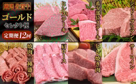 yI S12z ꋍ S[hZNgցyv 11.7kgzyYa    q T[C Vg[uA [X EfXCX Xe[L Ă Ԃ ēz (H