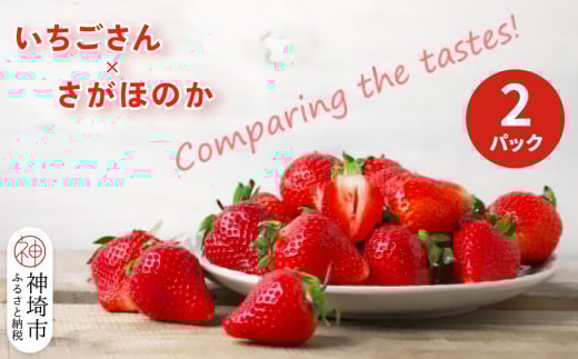 【2026年1月上旬より発送開始】いちご食べ比べ 2パック(いちごさん・さがほのか)【果物 くだもの フルーツ イチゴ 苺 佐賀】(H116135)佐賀県神埼市8000果物・フルーツいちご