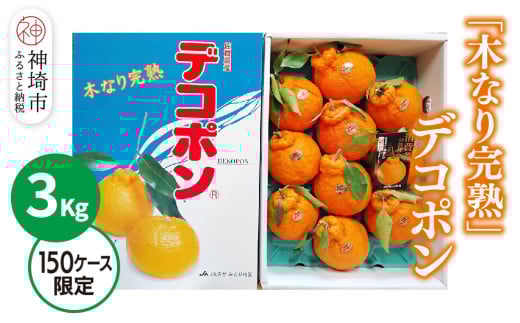 【2026年3月中旬より発送開始】【木なり完熟】デコポン 3kg 150ケース限定【みかん 柑橘 清美 ポンカン フルーツ デザート】(H116148)佐賀県神埼市21000果物・フルーツみかん・柑橘類