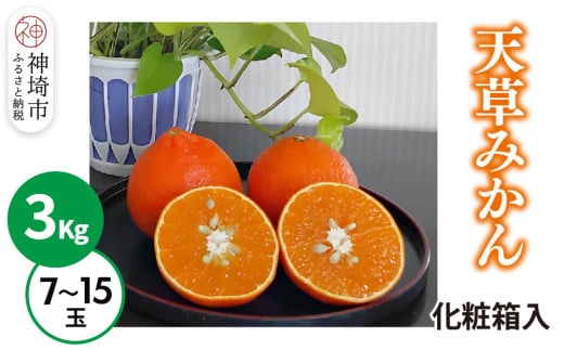 【2025年12月上旬より発送開始】天草(あまくさ)みかん 7〜15玉 3kg(化粧箱入り)【みかん 柑橘 フルーツ デザート 果汁 手土産】(H116154)佐賀県神埼市21000果物・フルーツみかん・柑橘類
