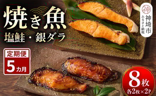 【5カ月定期便】レンジで温めるだけ!創業45年「魚屋さんの焼き魚」塩鮭・銀ダラ各2枚×2袋【魚料理 夕食 おかず 簡単 手軽 レンチン ふるさと納税】(H032115)佐賀県神埼市69000魚介・海産物鮮