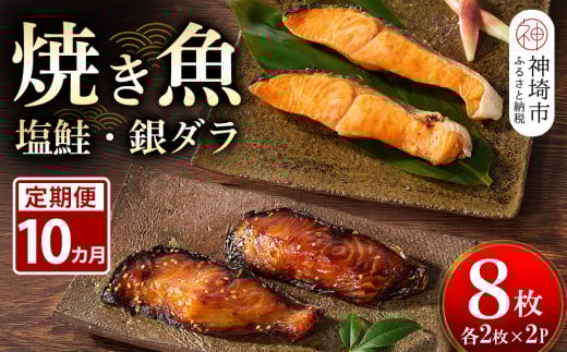 【10カ月定期便】レンジで温めるだけ!創業45年「魚屋さんの焼き魚」塩鮭・銀ダラ各2枚×2袋【魚料理 夕食 おかず 簡単 手軽 レンチン ふるさと納税】(H032116)佐賀県神埼市140000魚介・海産物