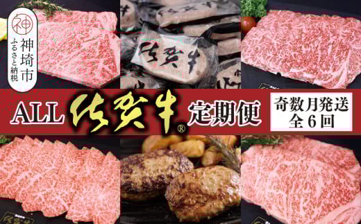 【奇数月発送 全6回定期便】ALL佐賀牛定期便【サーロインステーキ 赤身焼き肉 ハンバーグ カルビ焼肉 100%ハンバーグ ロースステーキ バラエティ豊か】(H118111)佐賀県神埼市93000肉牛肉
