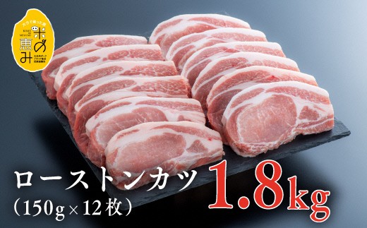 yXs[hz ؓ [X 삳񂿂̕Ă̌bݓ؃[XgJc 1.8kgi150g×12j啪L㍂cs20000ؓ