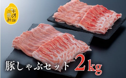 yXs[hz 삳񂿂̕Ă̌bݓ؂ԃZbg ؃[XA؃o e1kgiv2kgj啪L㍂cs20000ؓ