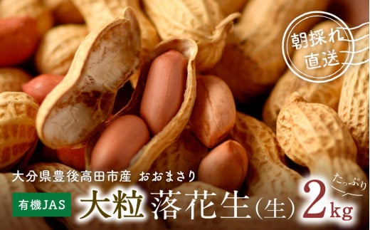 L@͔|ňĂ嗱Ԑ2kgi܂j啪L㍂cs13000؁Ê