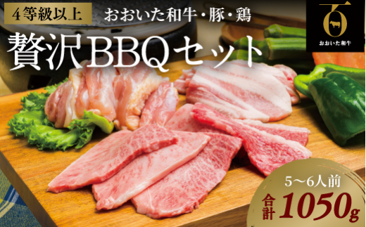 【スピード発送】 おおいた和牛焼肉セット(合計1050g)おおいた和牛450g、豚バラ・鶏もも各300g大分県豊後高田市20000肉牛肉