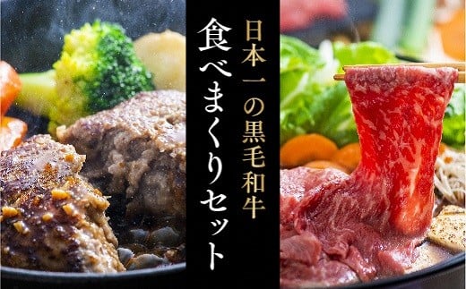 【スピード発送】 豊後牛ハンバーグ(約100g×9個)&大分県産黒毛和牛おまかせすき焼き肉(500g)セット大分県豊後高田市20000肉牛肉