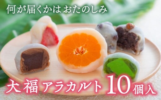 大福アラカルト(10個入) 大福 詰合せ 食べ比べ 季節 フルーツ大福 和菓子 スイーツ だいふく 杵つき餅大分県豊後高田市11000果物・フルーツみかん・柑橘類