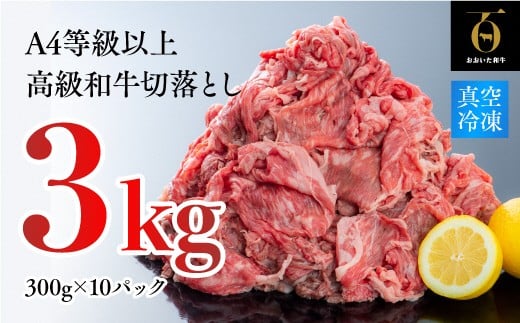 【スピード発送】 牛肉 切り落とし (300g×10P)計3kg片桐さんの おおいた和牛 黒毛和牛大分県豊後高田市35000肉牛肉